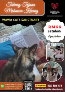 Read more about the article Tajaan Bantuan Makanan Kucing WAWA CATS SANCTUARY (WCS)