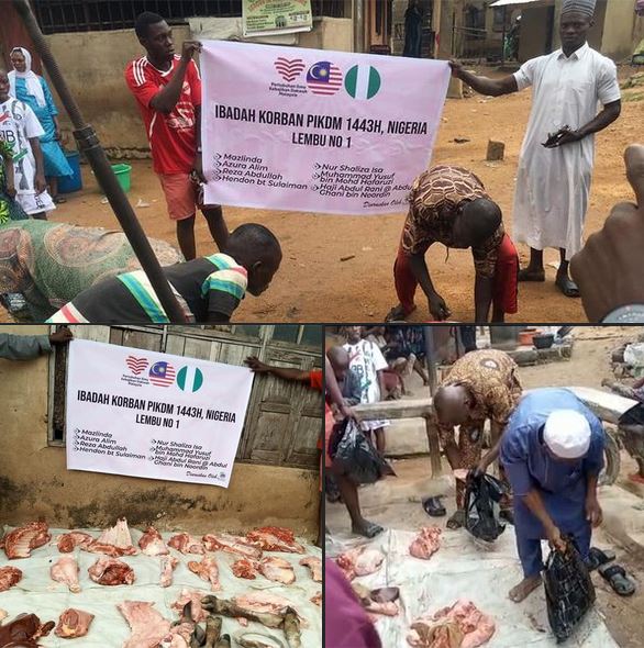 Korban Kambing - Nigeria 1