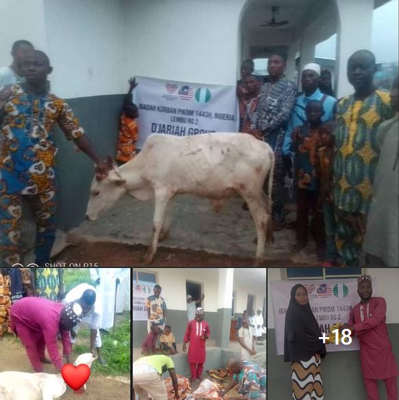 Korban Kambing - Nigeria 2