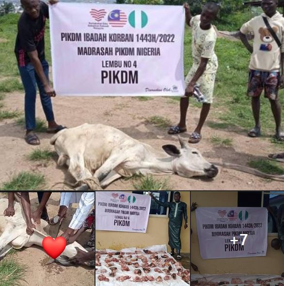 Korban Kambing - Nigeria 3