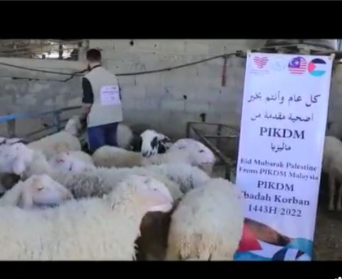 Korban Kambing - Palestine
