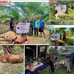 Read more about the article Pulau Jambongan, Sabah – Ibadah Korban PIKDM 2022 (1443H)