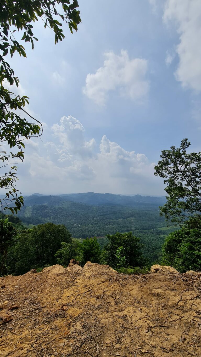 Bangkit Melangkah Terus Ke Puncak 5