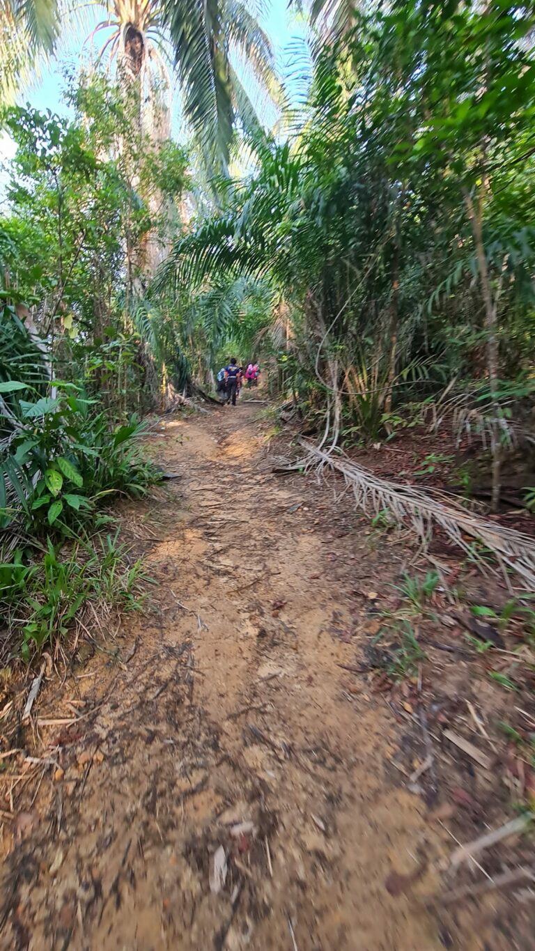 Bangkit Melangkah Terus Ke Puncak 8