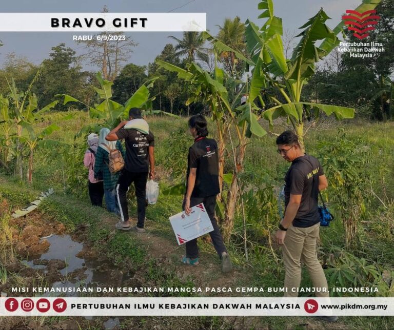 Bravo Gift (8)