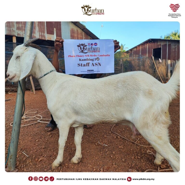 Program Ibadah Korban Pikdm 1445h 2024 Phum Thmey Sek Wedo Cambodia 1 Ekor Kambing (1)