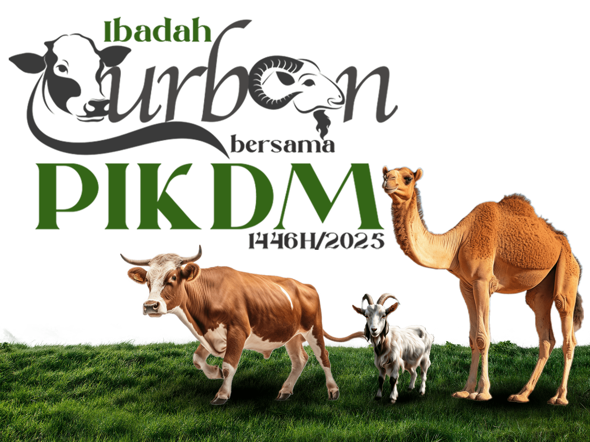 Ibadah korban bersama pikdm 1446h 2025 header 2 min