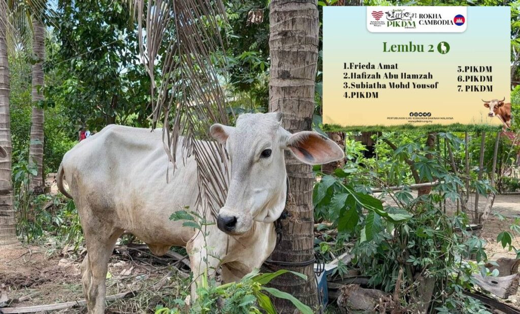 Laporan ringkas korban pikdm 1446h 2025 cambodia rokha knor (24)
