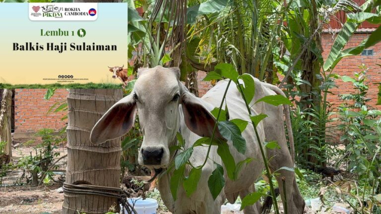 Laporan ringkas korban pikdm 1446h 2025 cambodia rokha knor (25)