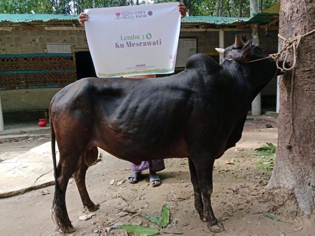 Laporan ringkas korban pikdm 1446h coxs bazar bangladesh (13)