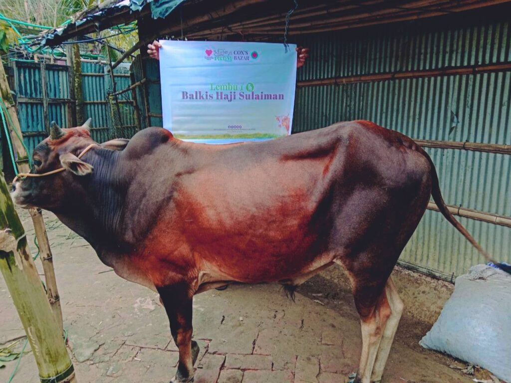 Laporan ringkas korban pikdm 1446h coxs bazar bangladesh (22)