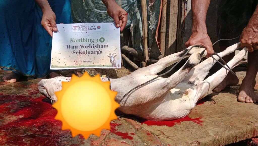 Laporan ringkas korban pikdm 1446h coxs bazar bangladesh (6)