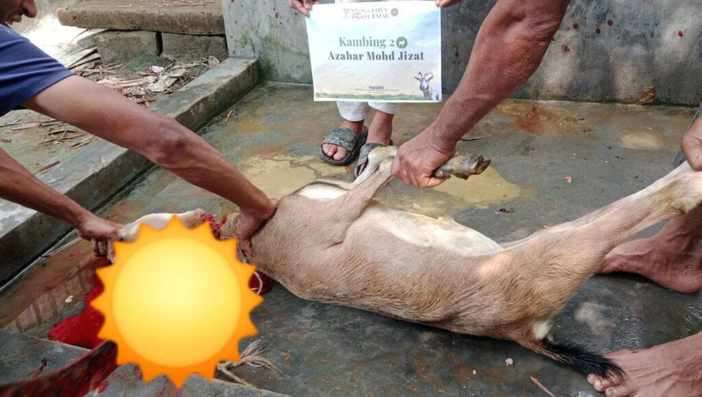Laporan ringkas korban pikdm 1446h coxs bazar bangladesh (8)