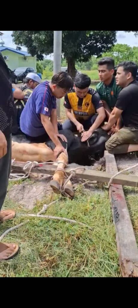 Ringkasan program ibadah korban sedekah daging telupid, sabah (10)
