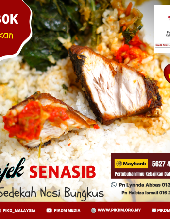 Program SENASIB