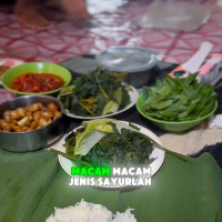 Bersyukur Dengan Bumi