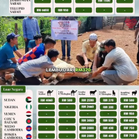 Korban tanda syukur bukti taat