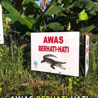 Selamat datang ke paitan
