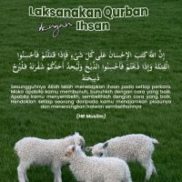 Pikdm fb 1779584620691