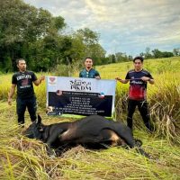 Pikdm fb 1780580774871