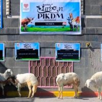 Pikdm fb 1781257412095